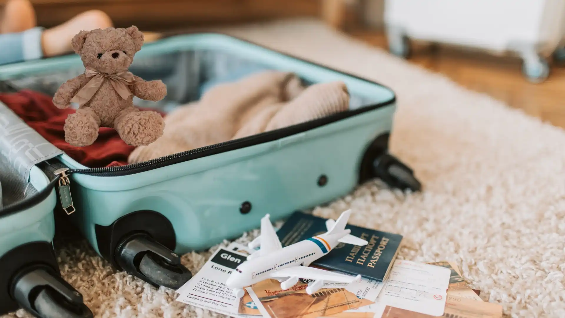 KM Malta Airlines Baggage Policy 